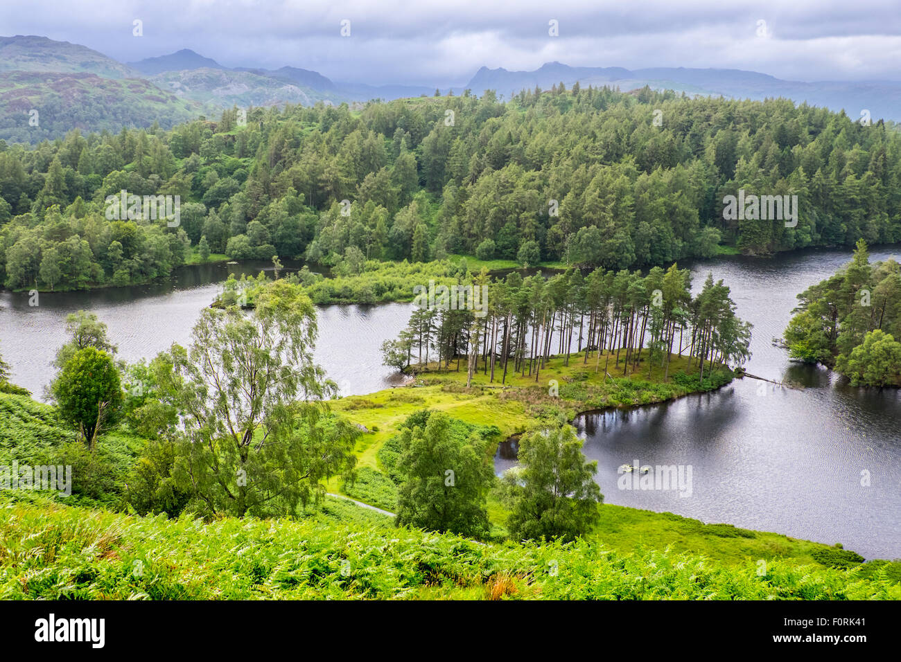 Tarn Hows in the English Lake District National Park Stock Photo