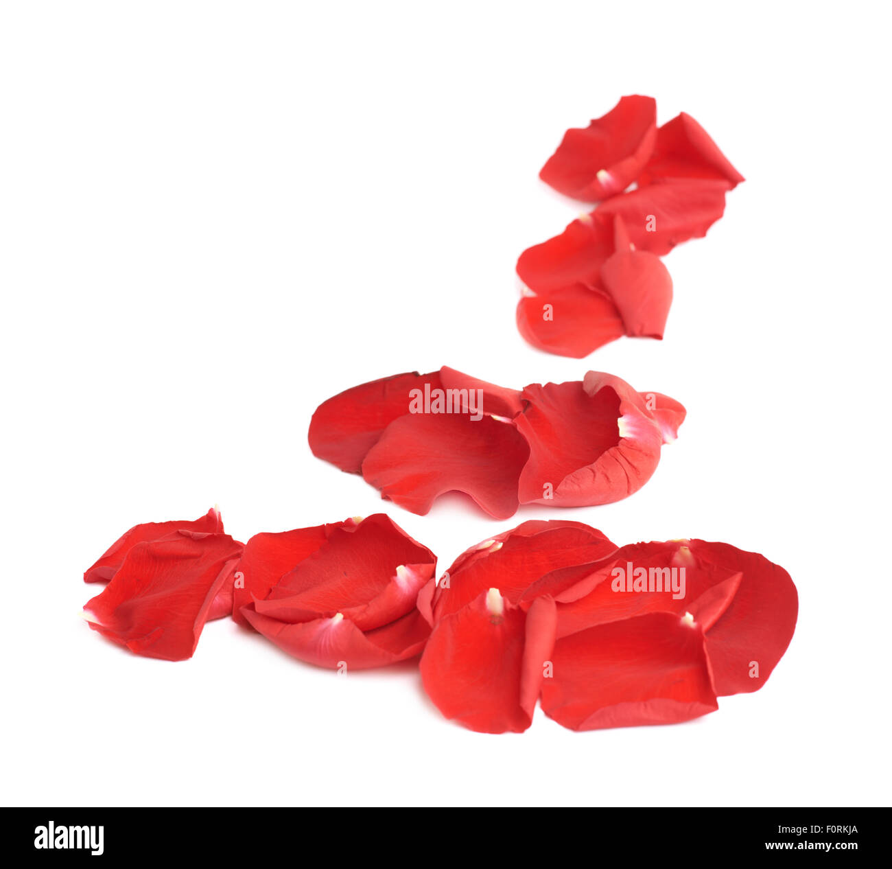 Red rose petals composition Stock Photo Alamy