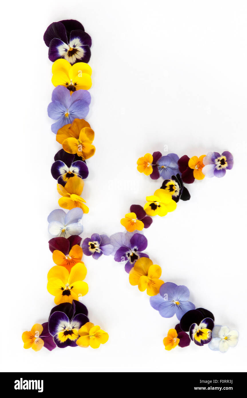 letter k alphabet made from pansy flowers isolated on white background