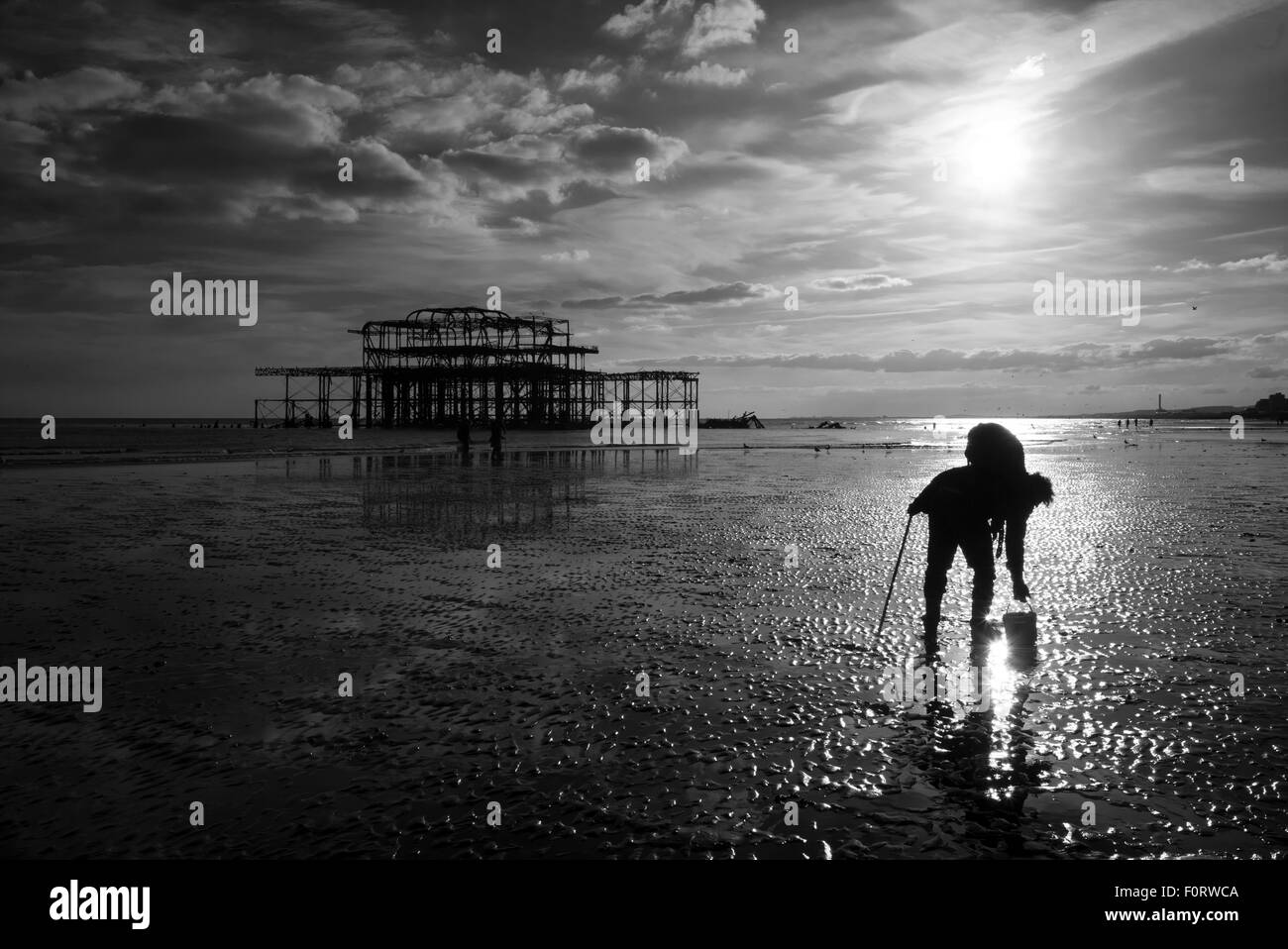 Fisherman searching for bait, low tide,West Pier, Brighton, UK,black and white Stock Photo