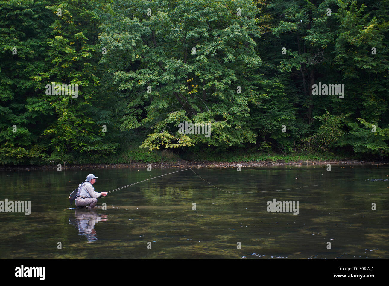 Man fishing for European grayling (Thymallus thymallus) in the San River, Myczkowce, Poland, September 2011 Model released Stock Photo