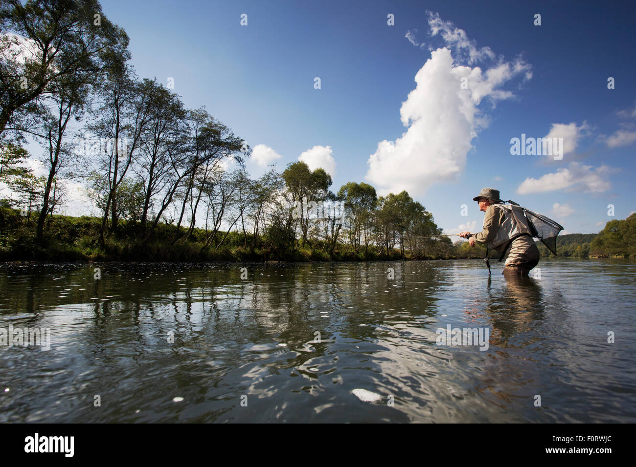 Man fly fishing for European grayling (Thymallus thymallus) in the San River, Myczkowce, Poland, September 2011 Model released Stock Photo