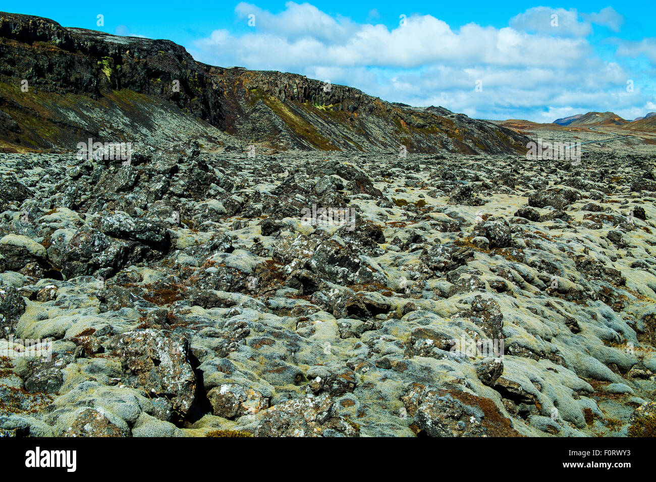 Moss covered lava field Southern Iceland Stock Photo