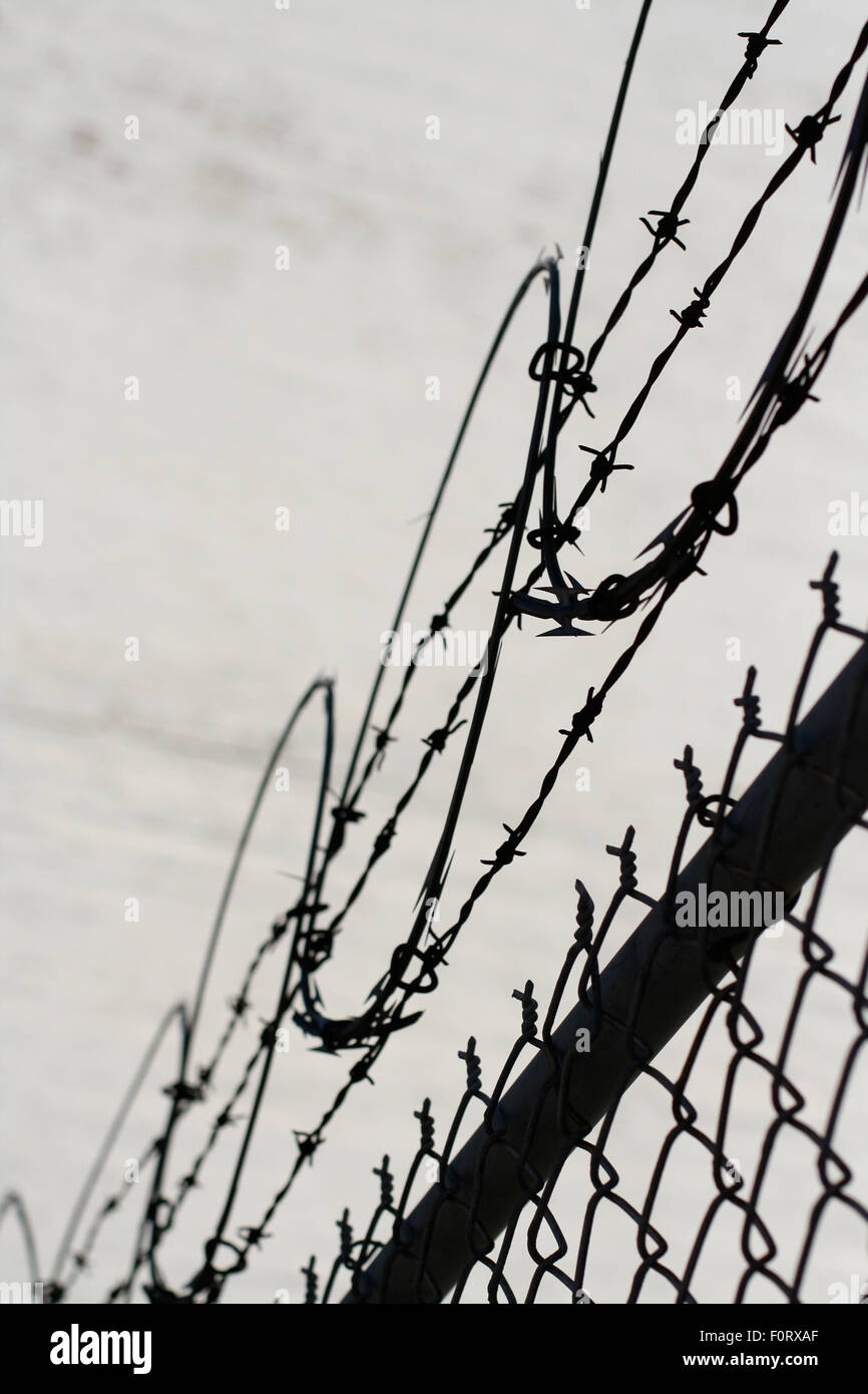 Barbed wire chain link fence sillouette Stock Photo Alamy