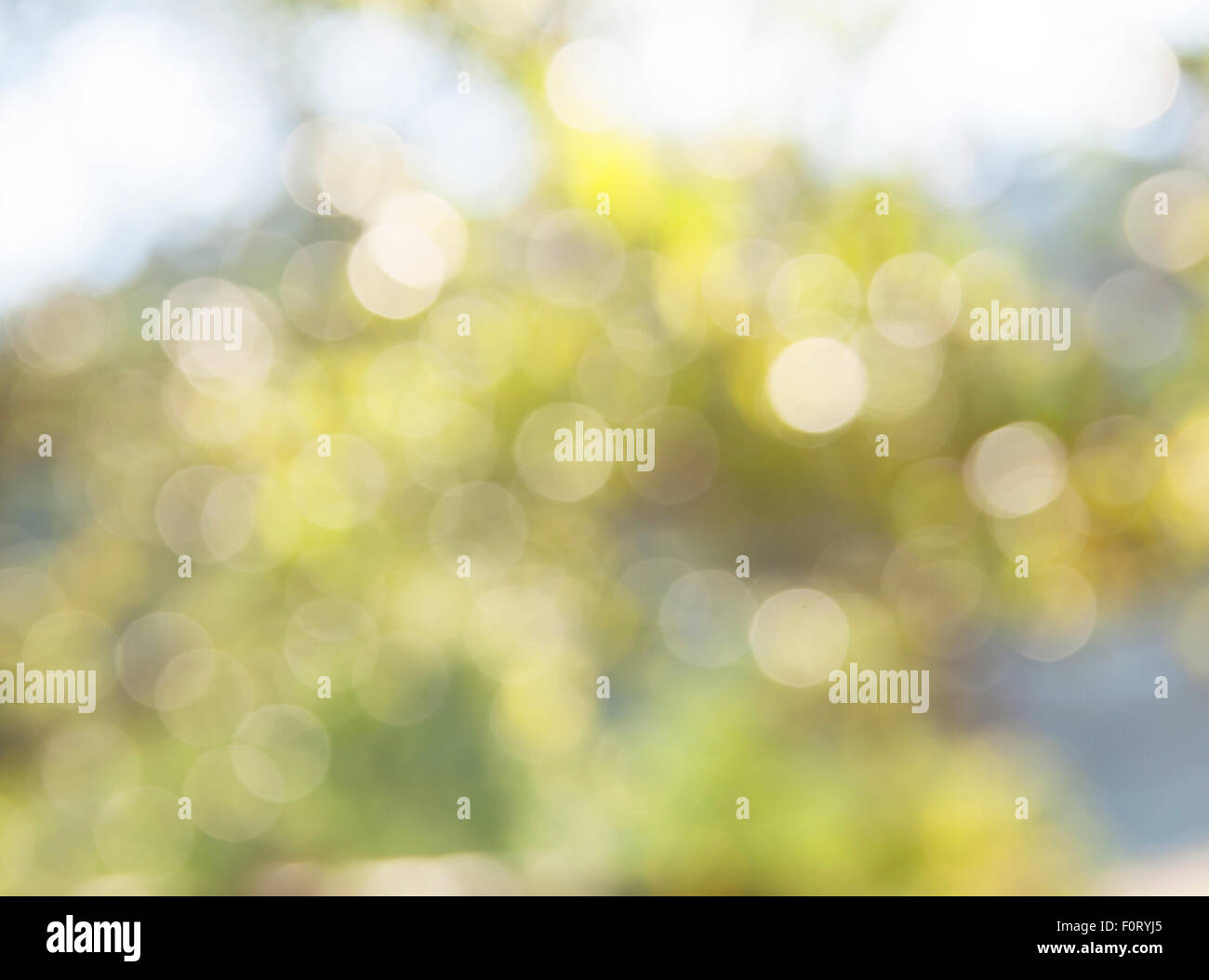 Background bokeh Natural light background blur circle colorful abstract background texture. Stock Photo