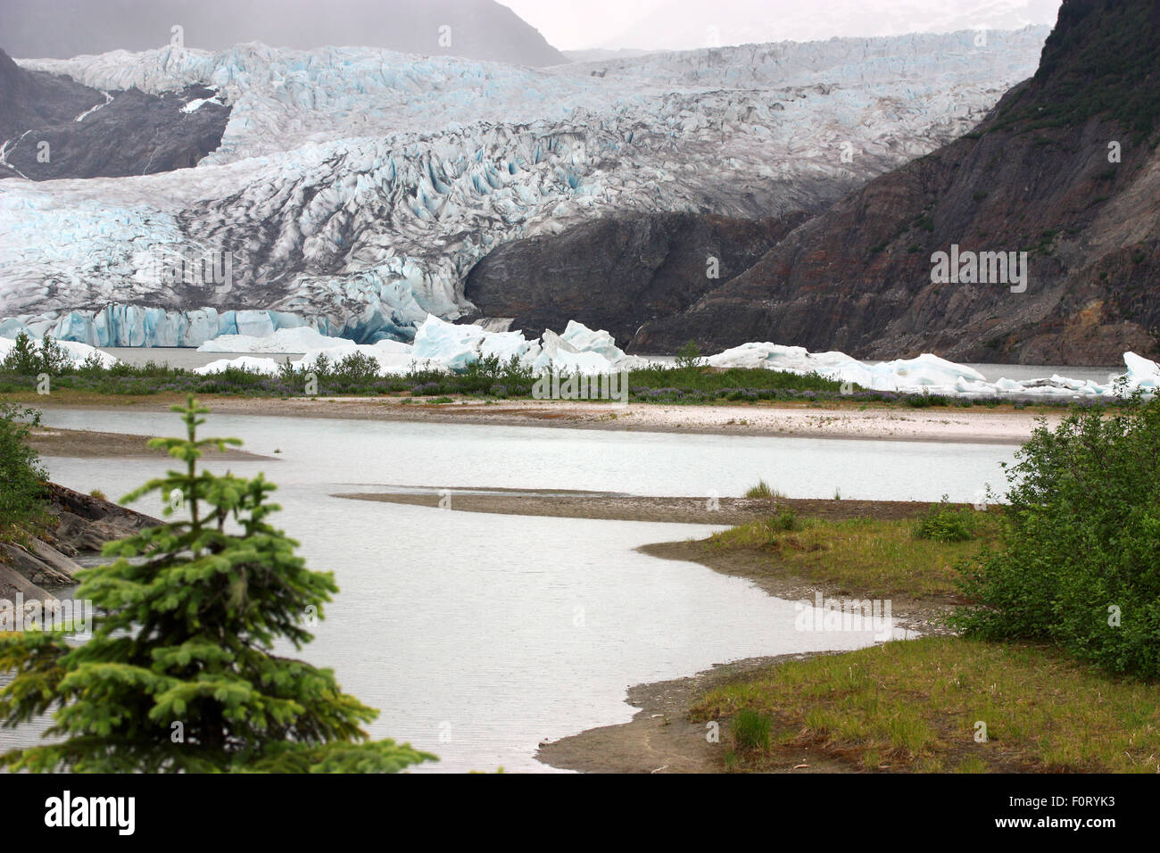 Mendenhall Glacier National Park in Juneau Alaska Stock Photo