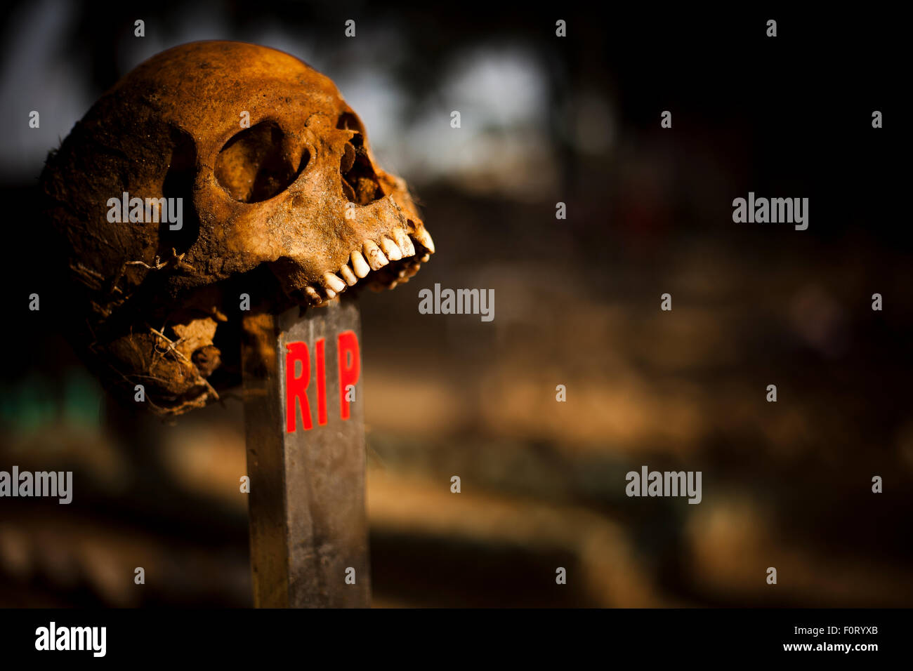 Skeleton head on a cross, in the hand. Stock Photo
