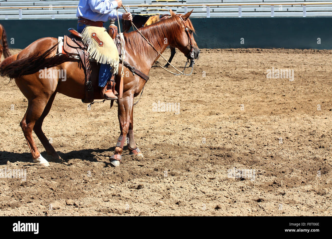 Mexican cowboy cattle hi-res stock photography and images - Alamy