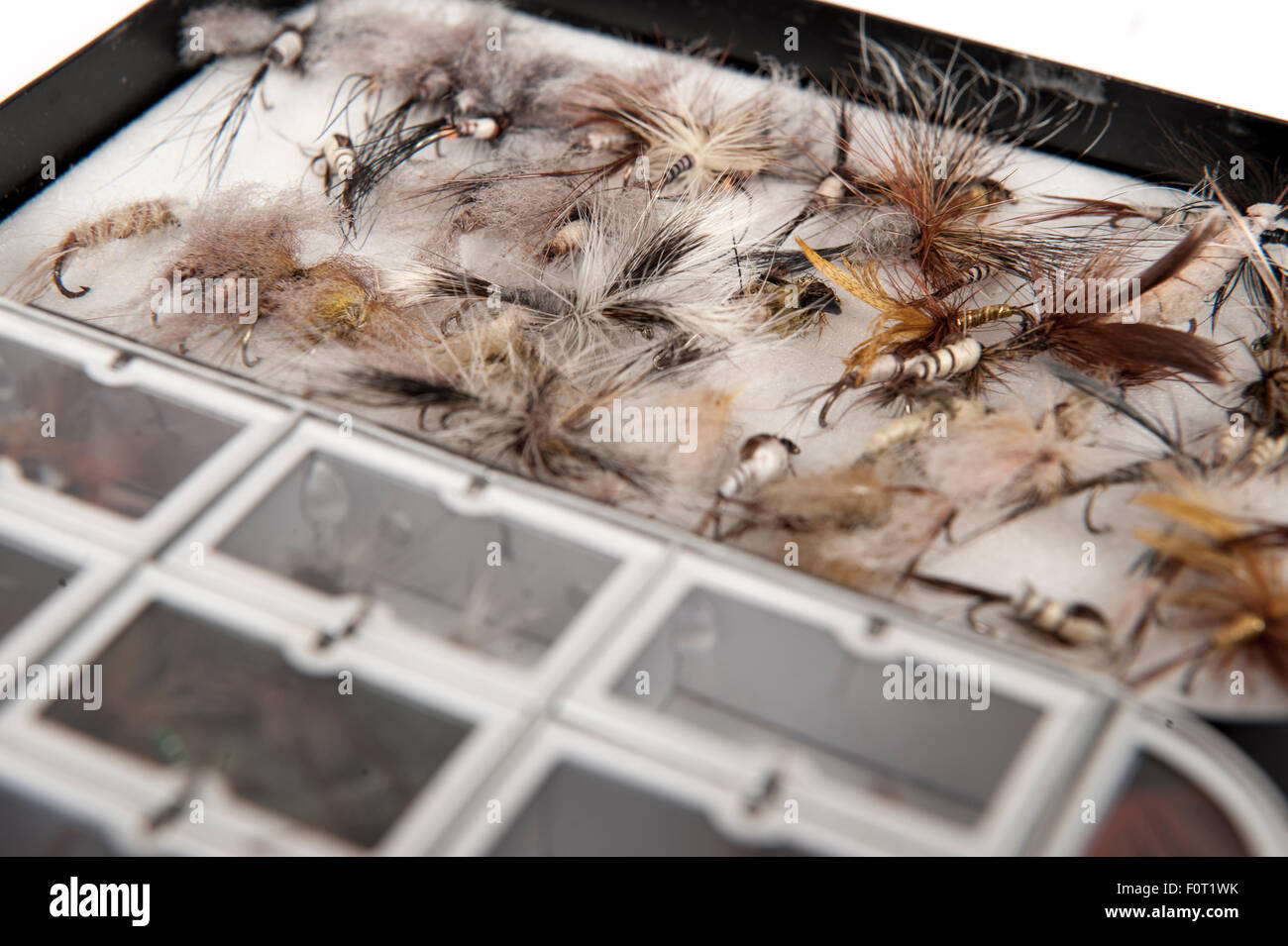 A fishing fly box of mayflies ready for fishing the mayfly hatch in May when fly fishing on