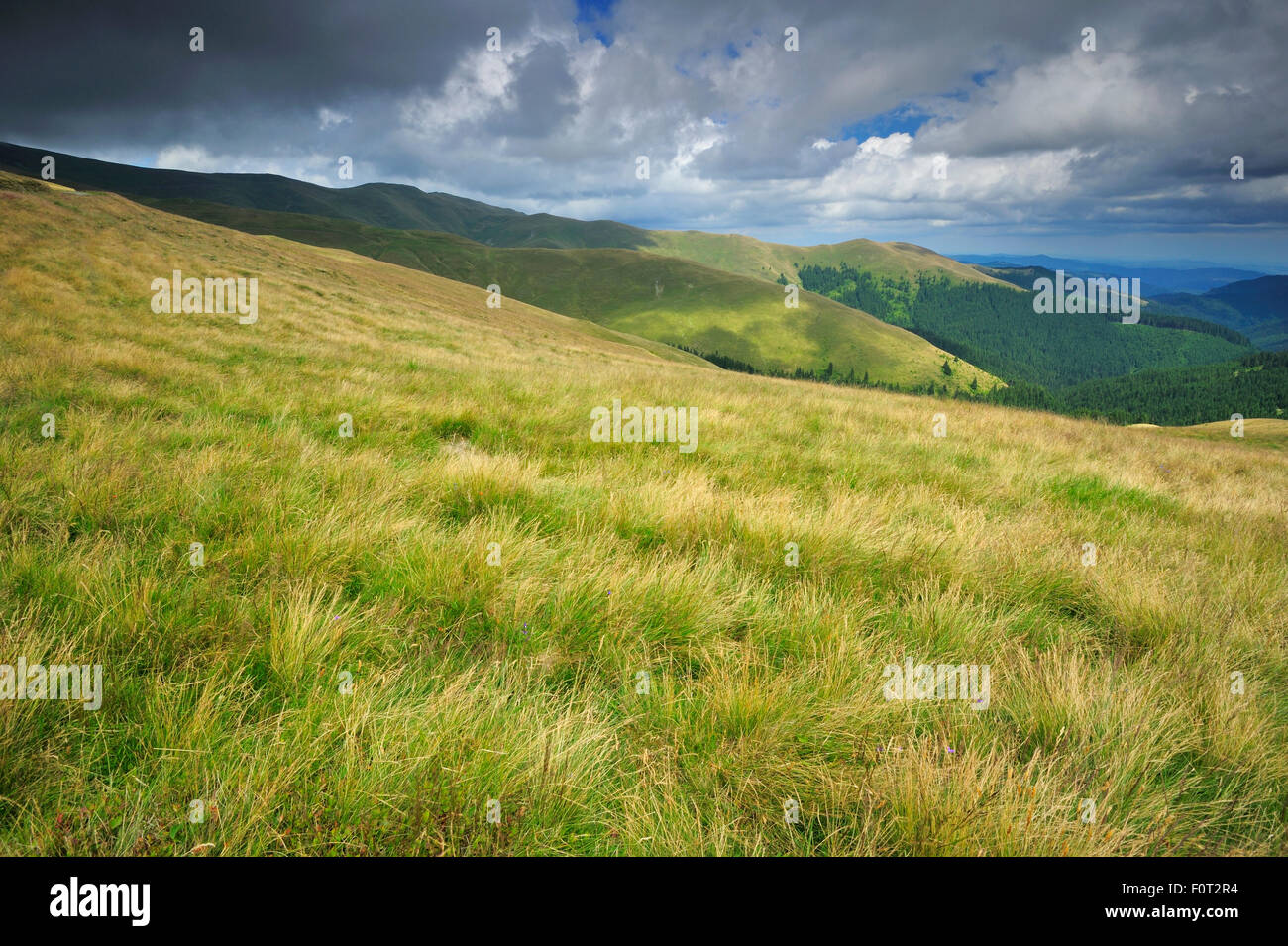 Grassland in alpine area with dark clouds, Leota mountain range, Arges county, Carpathian Mountains, Romania, July, 2011 Stock Photo