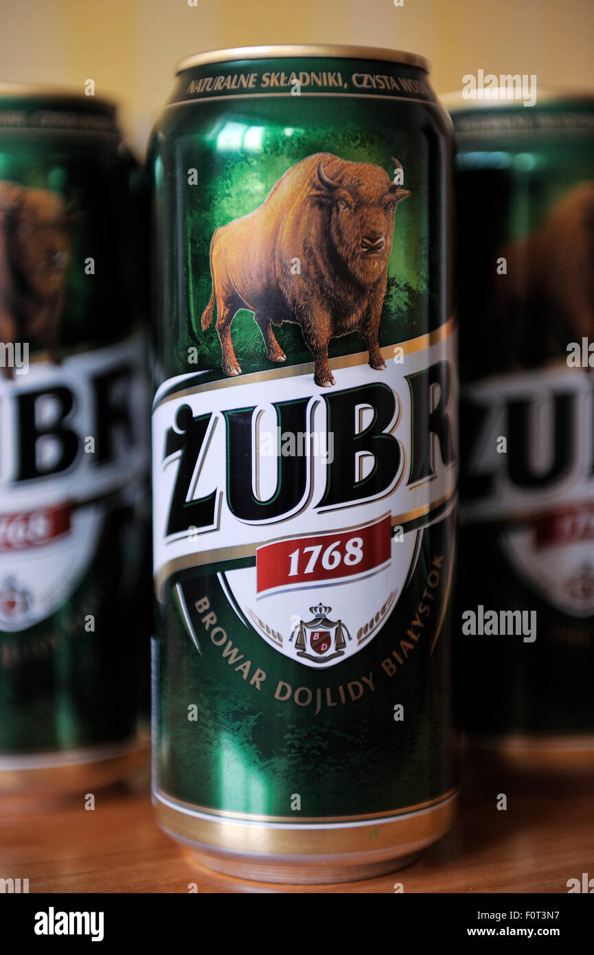 European Bison (Bison bonasus) advertising local Zubr beer, Poland Stock Photo