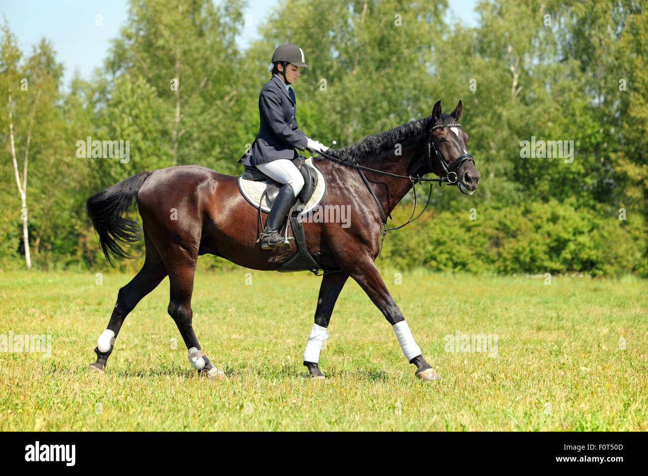 English Dressage Saddle