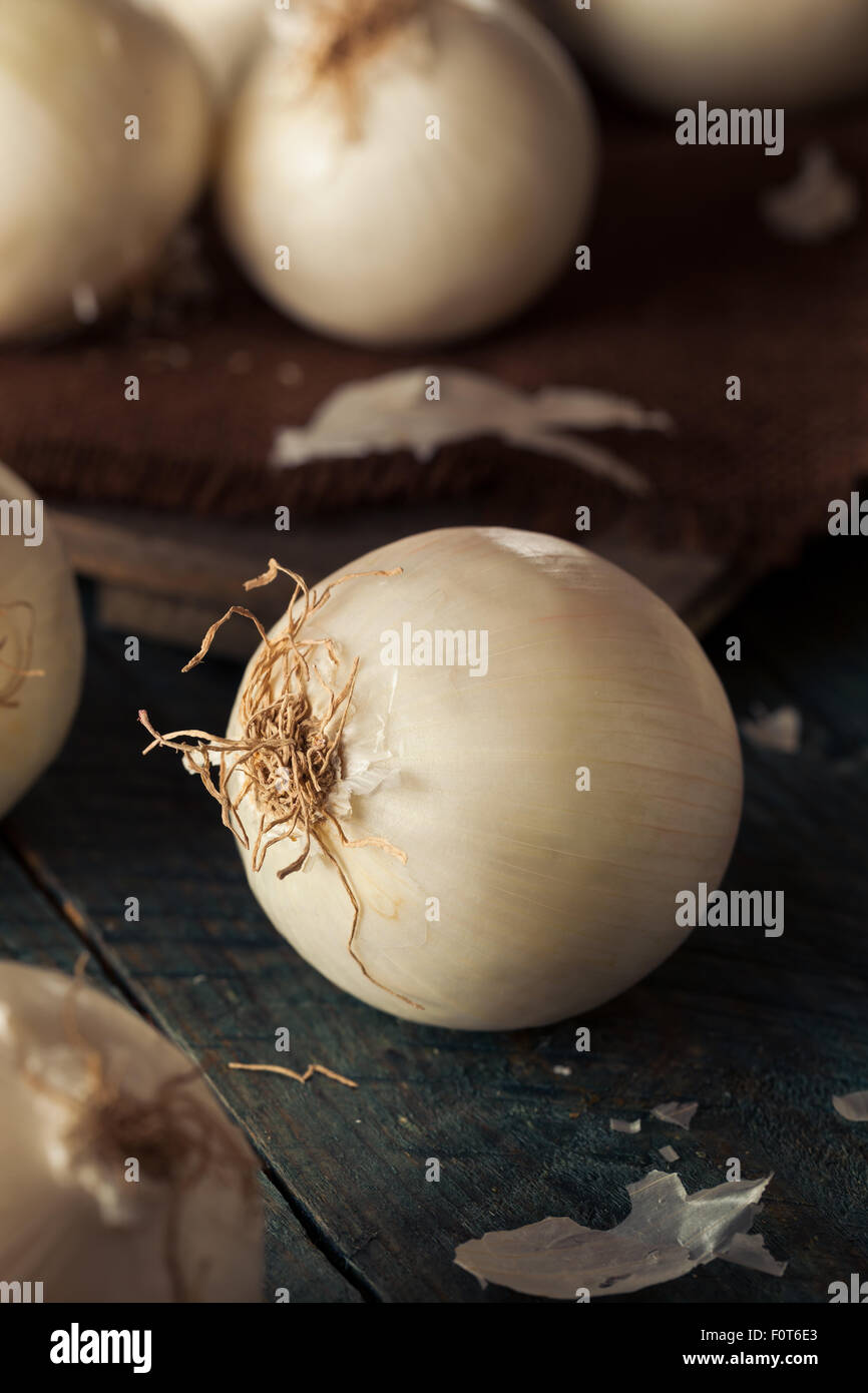 Food background fresh onions hi-res stock photography and images - Alamy