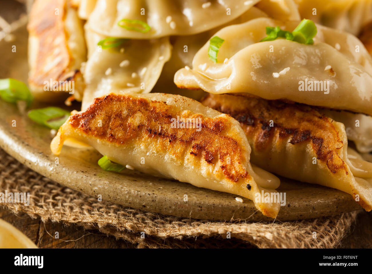 Homemade Asian Pork Potstickers with Soy Sauce Stock Photo