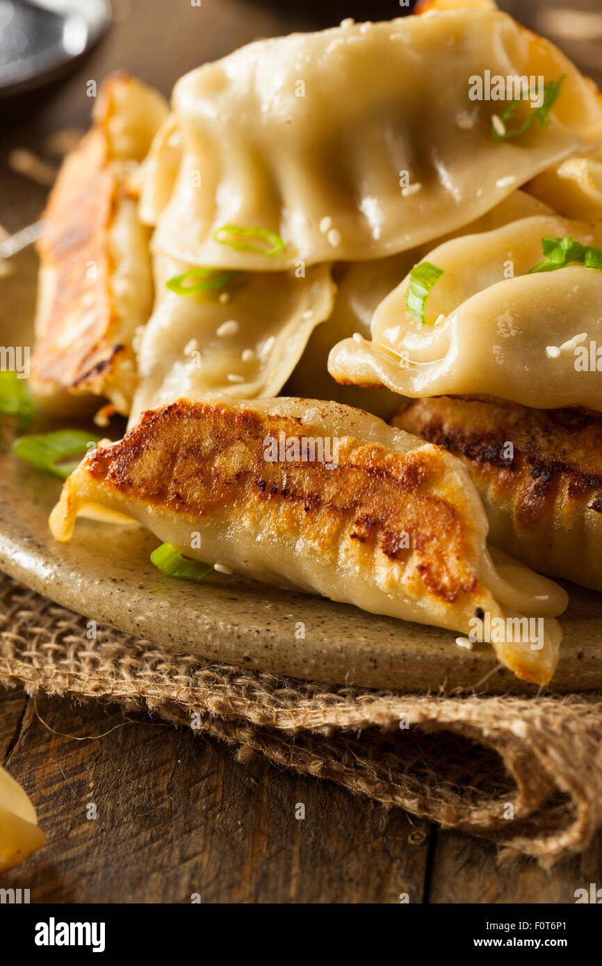 Homemade Asian Pork Potstickers with Soy Sauce Stock Photo