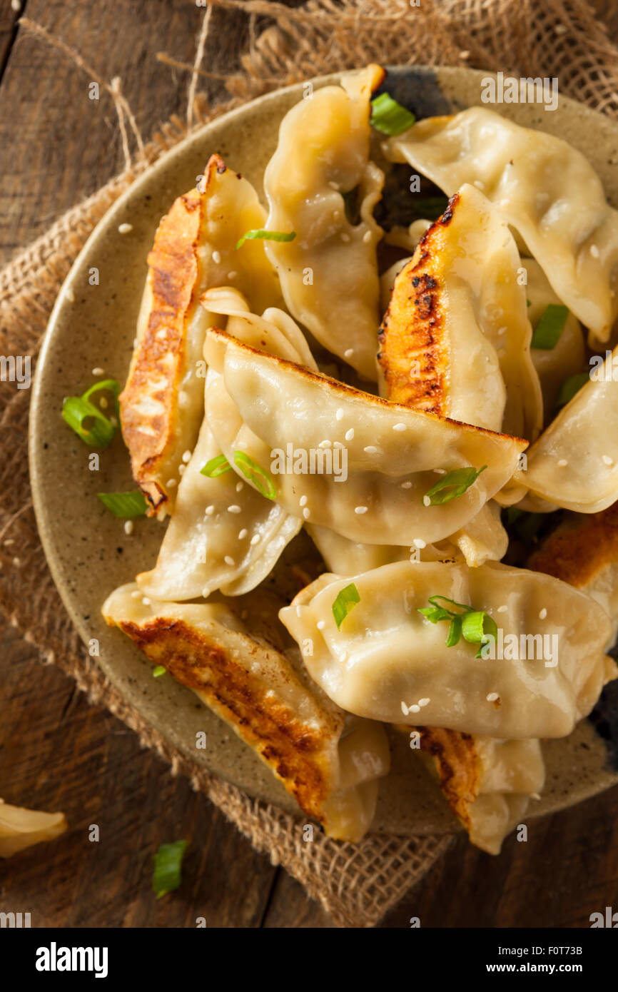 Homemade Asian Pork Potstickers with Soy Sauce Stock Photo