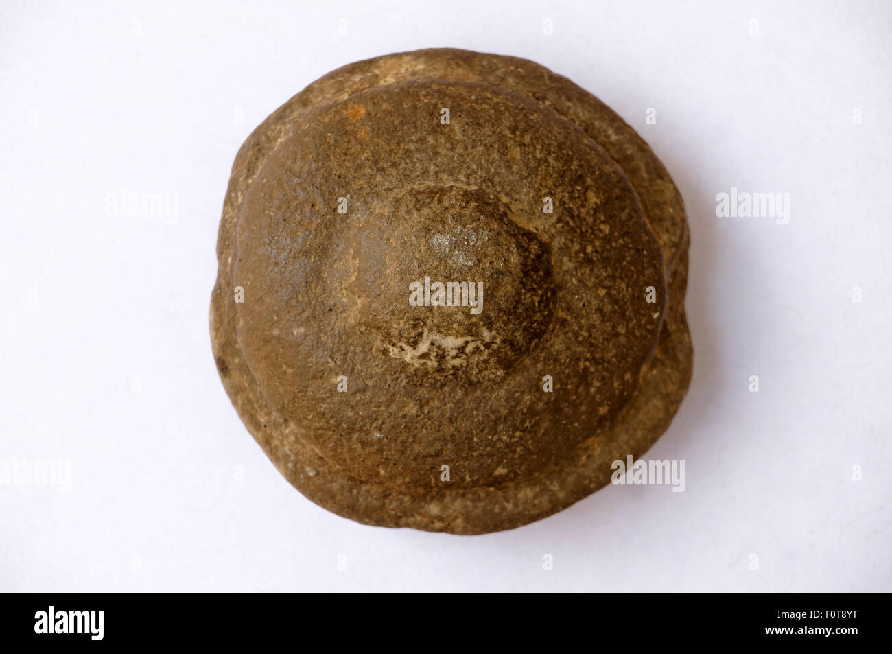 Top view of a small disc-shaped concretion from the province of Quebec, Canada Stock Photo