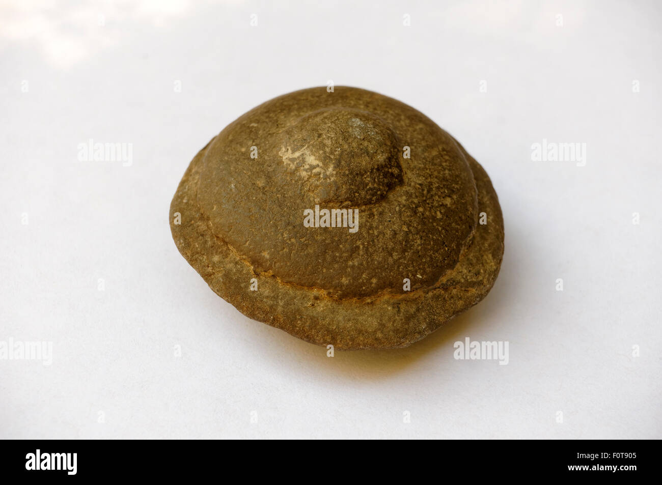 Side view of a small disc-shaped concretion from the province of Quebec, Canada Stock Photo