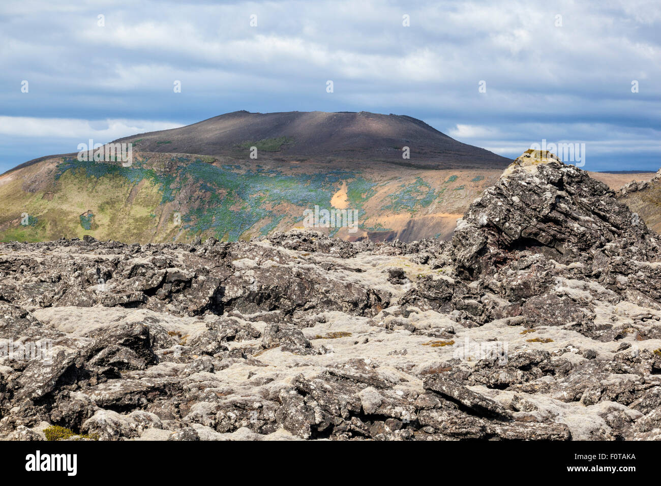 Volcanic landscape, Reykjanes Peninsula, Iceland Stock Photo - Alamy