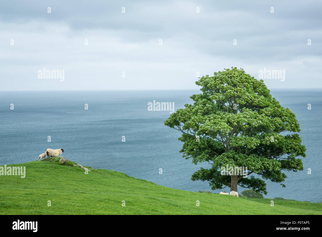 County Antrim, Northern Ireland Stock Photo Alamy