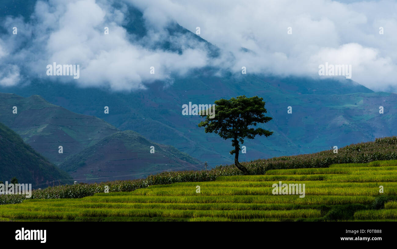 China rural scenery hi-res stock photography and images - Alamy