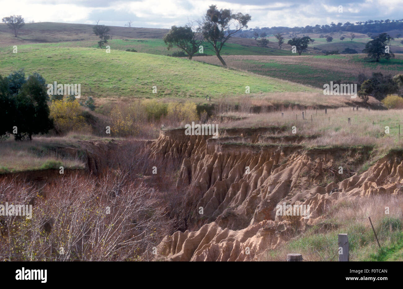 Extensive erosion of the land, rural New South Wales, Australia Stock Photo