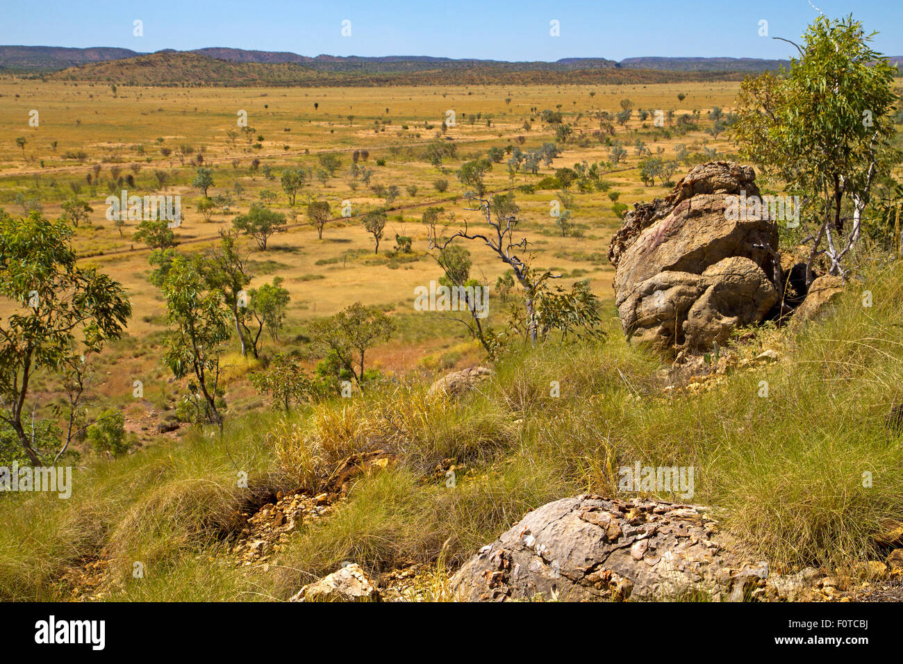 Limestone Range Fossils limestone australia hi-res stock photography and images - Alamy