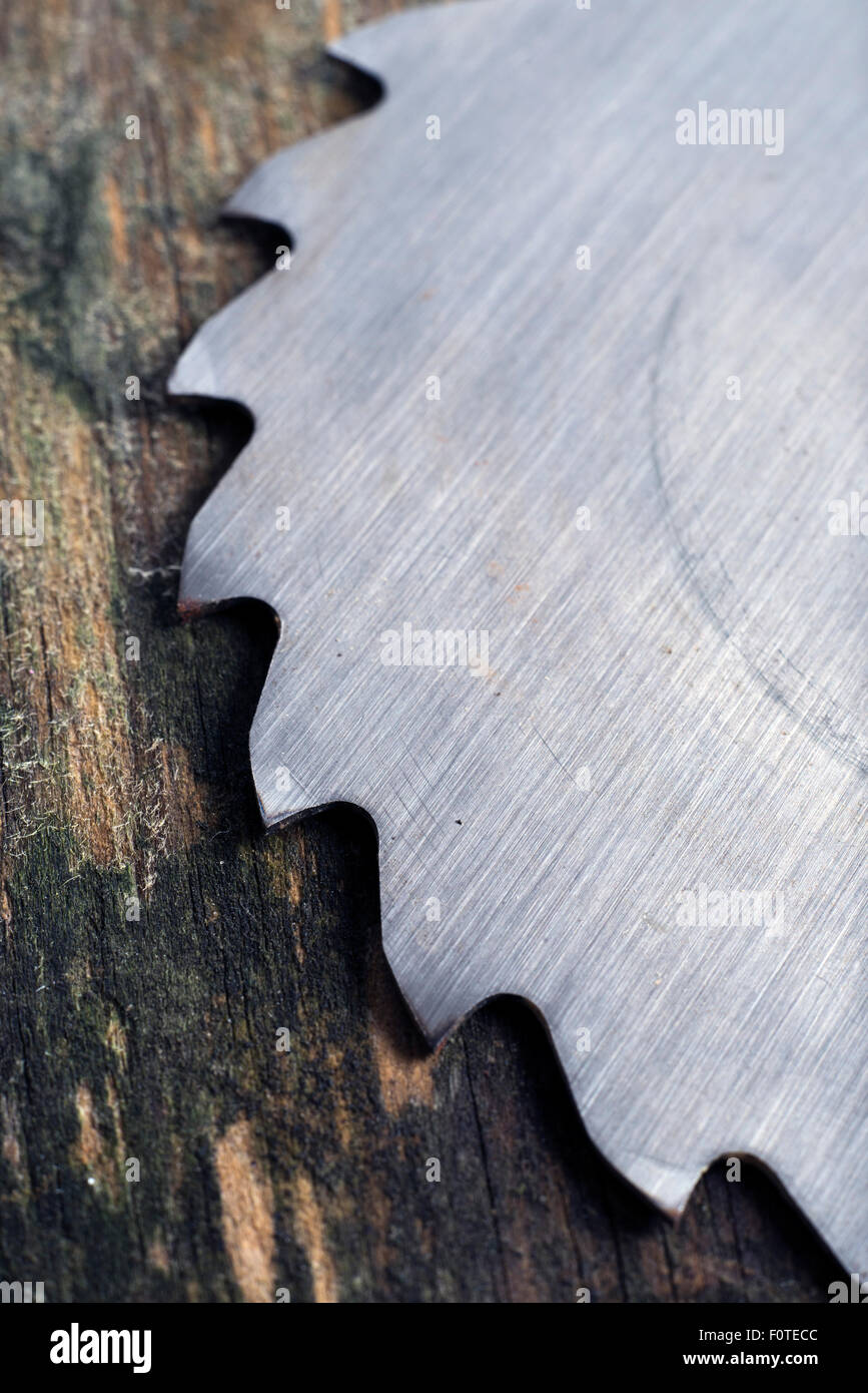 circular saw blades on wooden background Stock Photo