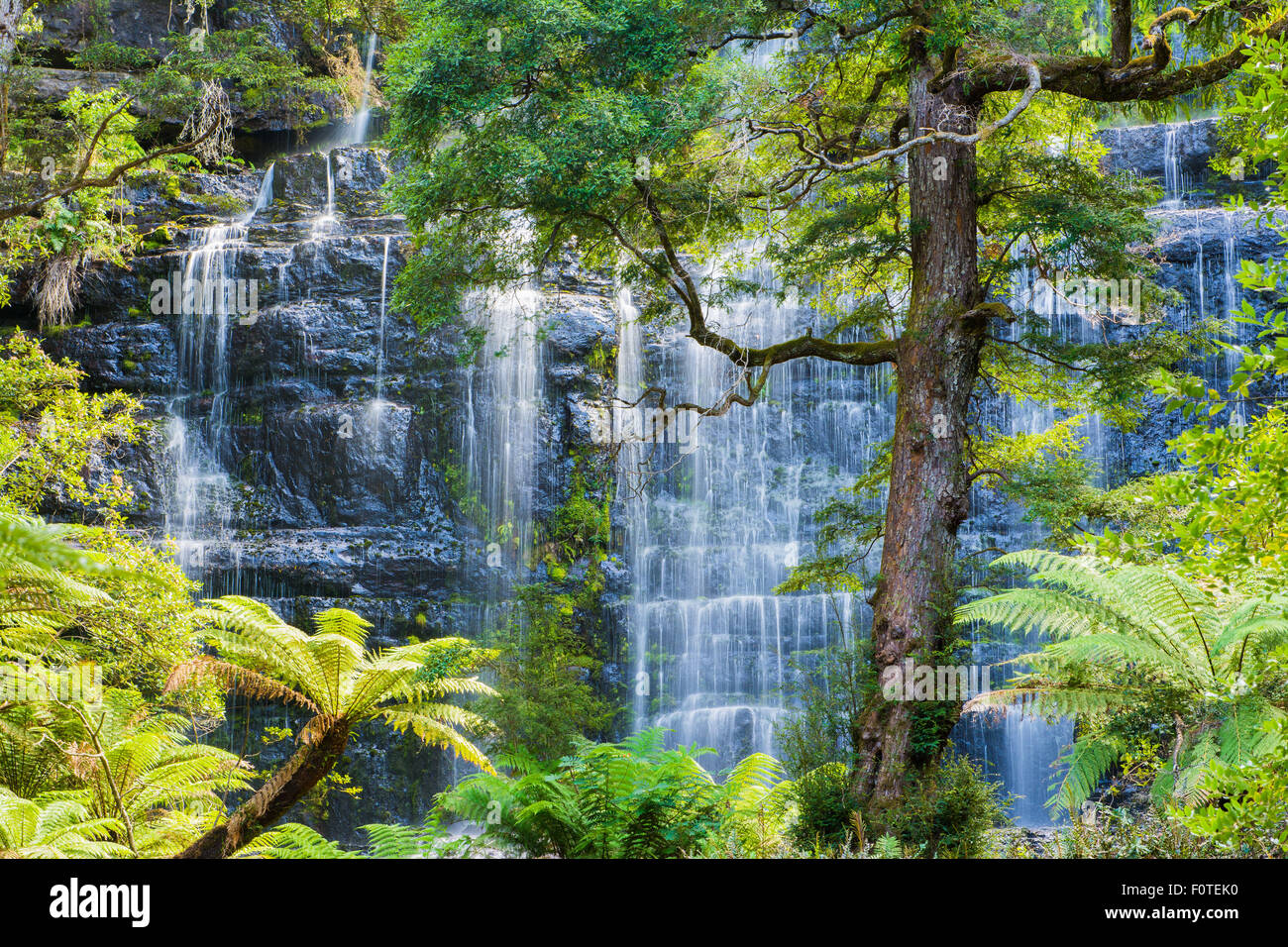 Russell Falls, Mt. Field National Park, Tasmania, Australia Stock Photo