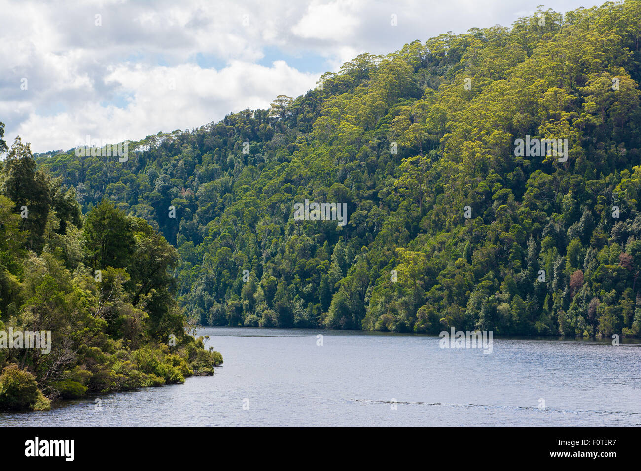 Gordon River, Franklin-Gordon Wild Rivers National Park, Tasmania, Australia Stock Photo