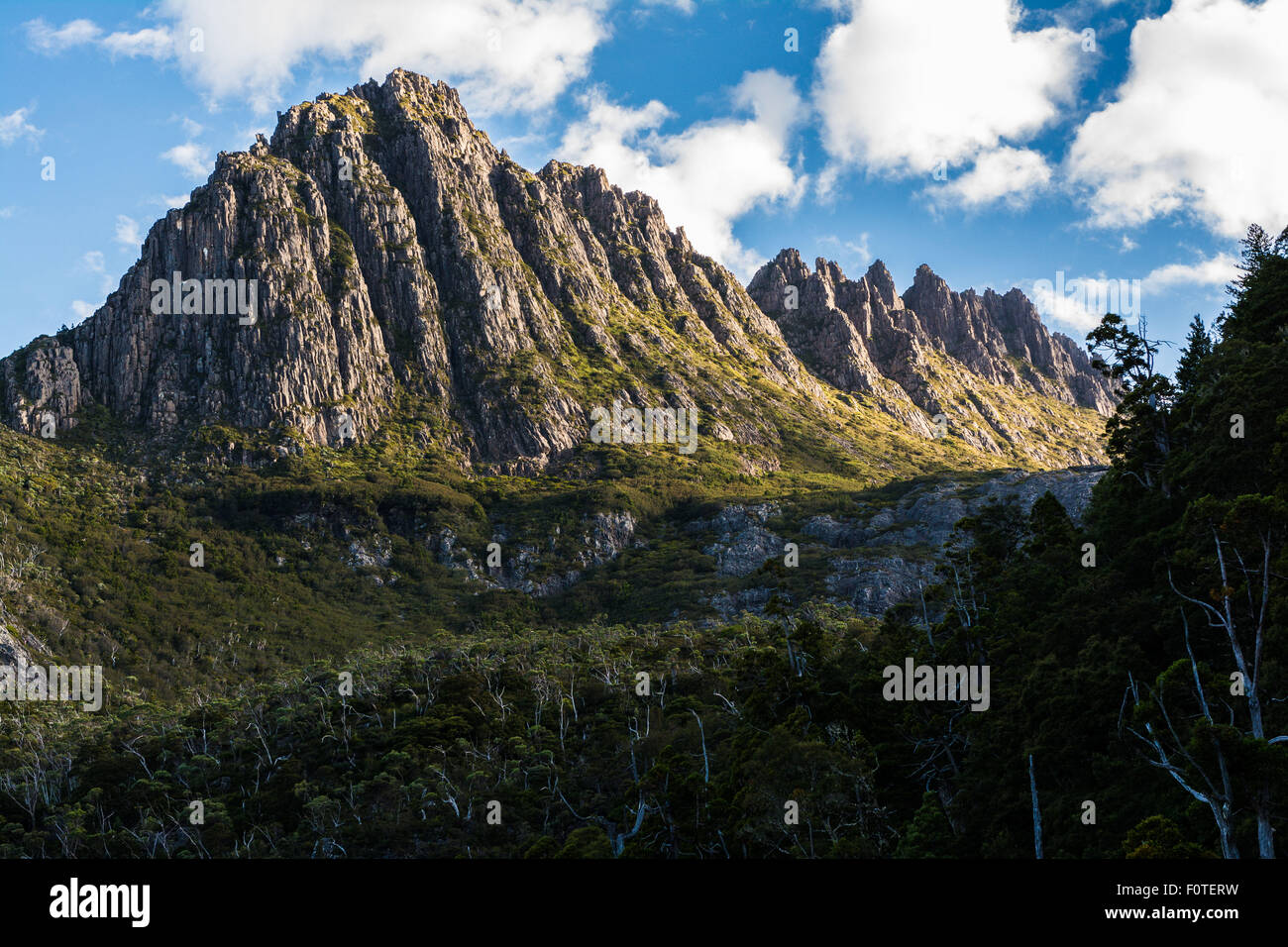Cradle Mountain-Lake St. Clair National Park, Tasmania Stock Photo