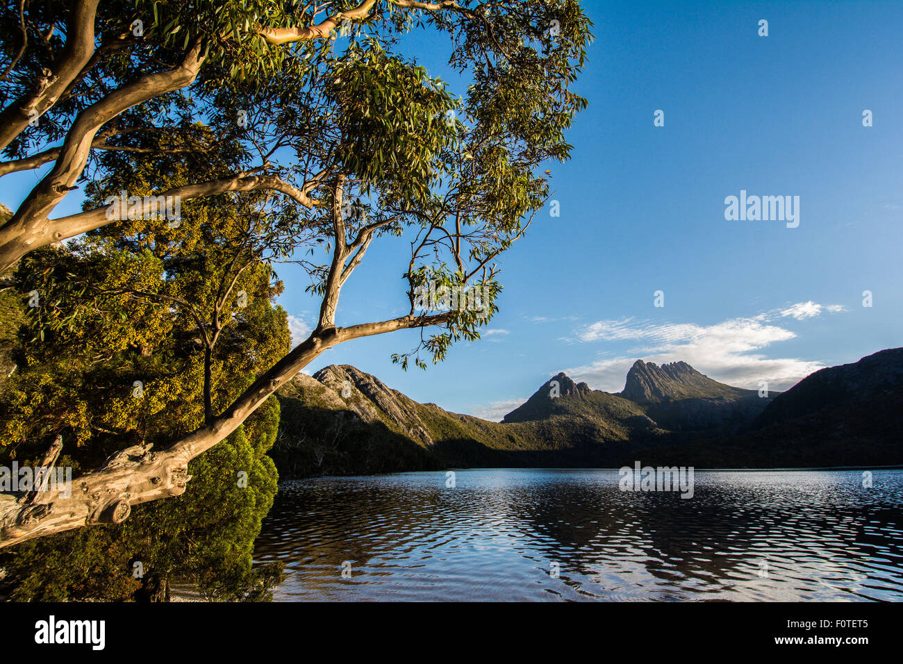 Cradle Mountain & Dove Lake, Cradle Mountain-Lake St. Clair National Park, Tasmania Stock Photo