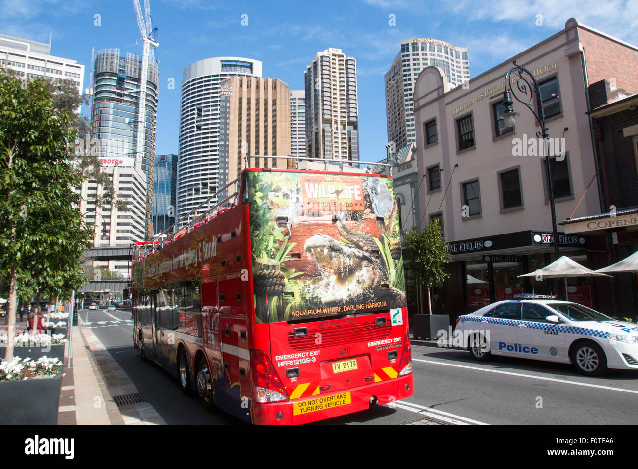 Sydney to Bondi open top explorer bus in the historic Rocks area of Sydney city centre along George street,Sydney,new south wales,australia Stock Photo