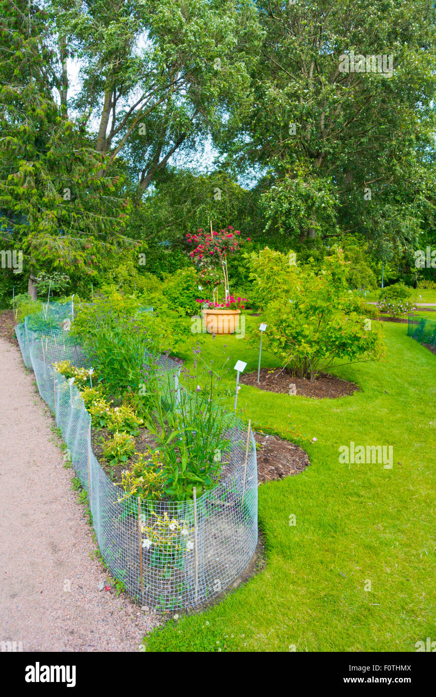 Botanical gardens, Kasvitieteellinen puutarha, Kaisaniemen puisto, Kaisaniemi park, Helsinki, Finland, Europe Stock Photo