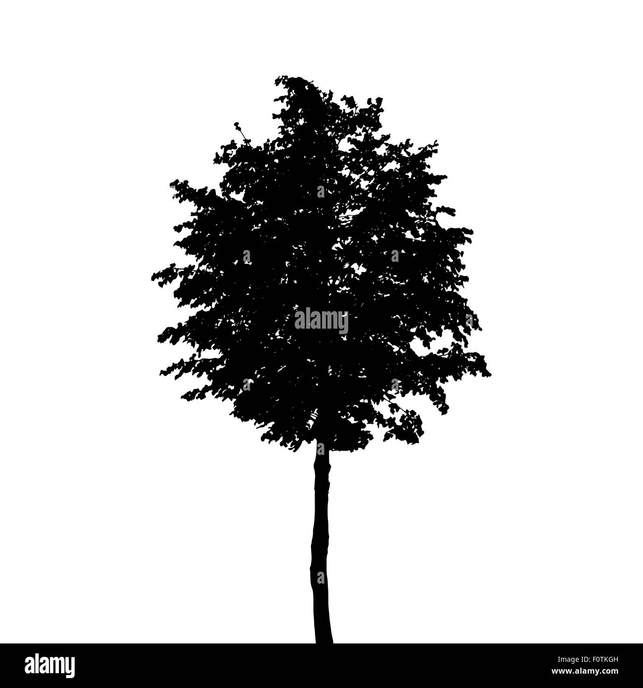 Tree Silhouette Isolated on White Background. Vector Illustratio Stock ...