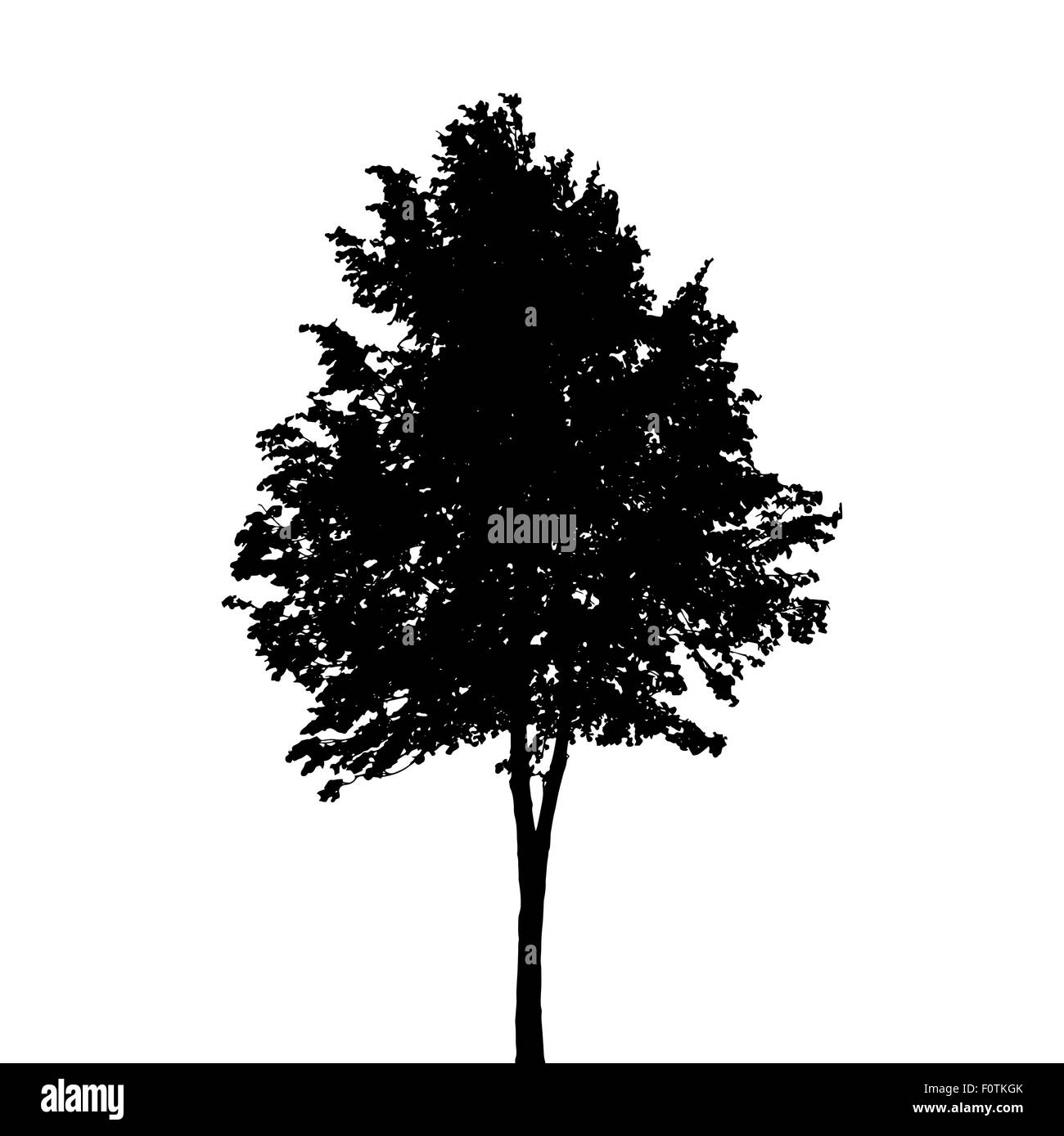Tree Silhouette Isolated on White Background. Vector Illustratio Stock ...
