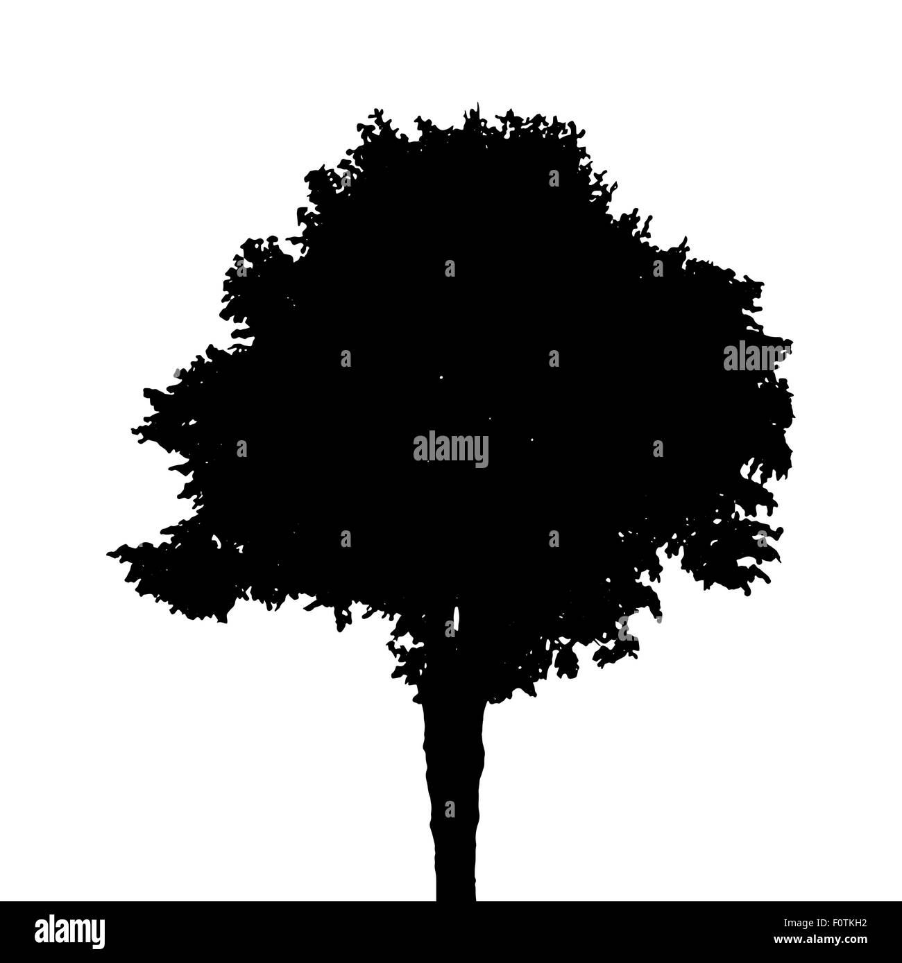 Tree Silhouette Isolated on White Background. Vector Illustratio Stock ...
