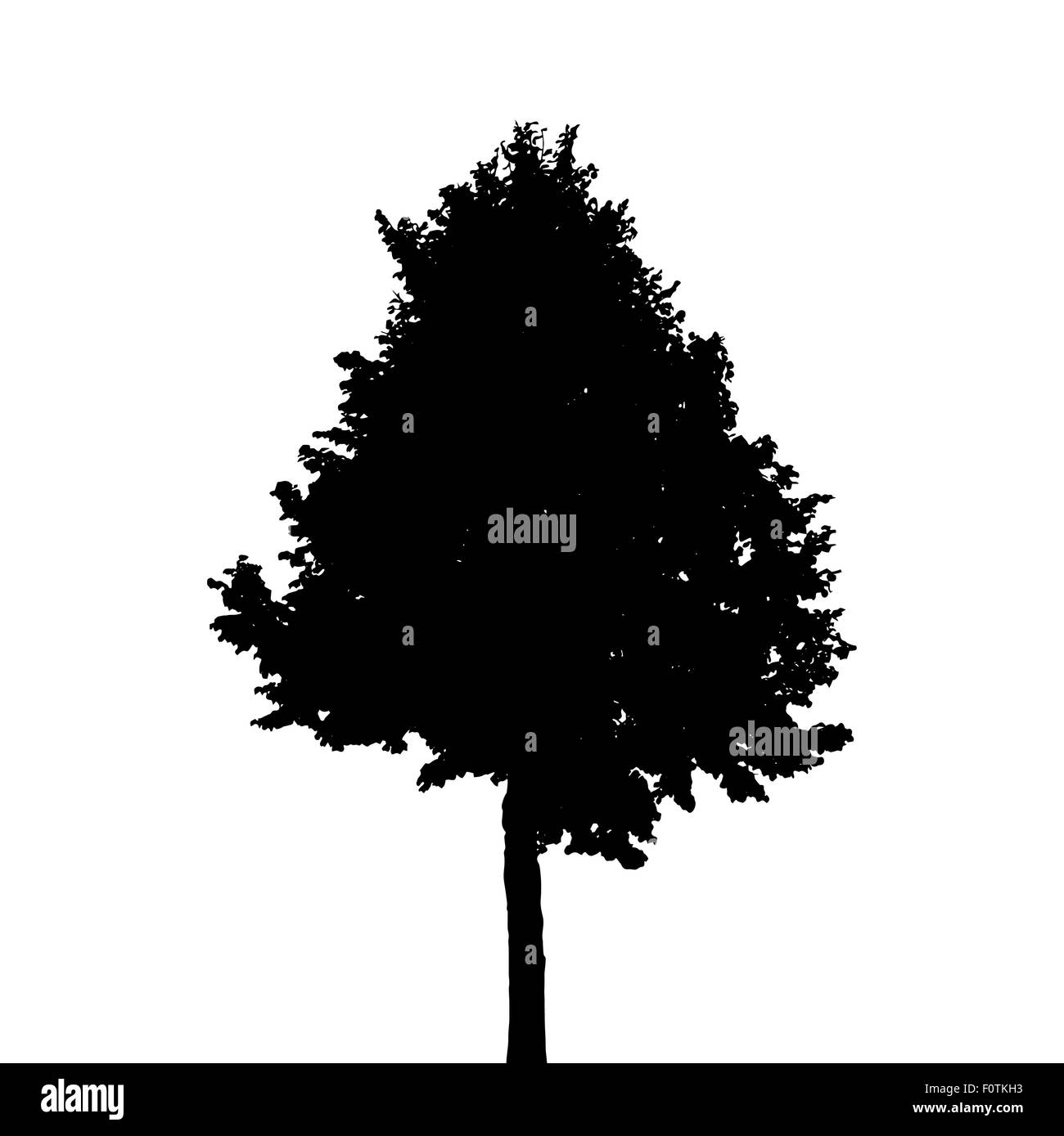 Tree Silhouette Isolated on White Background. Vector Illustratio Stock ...