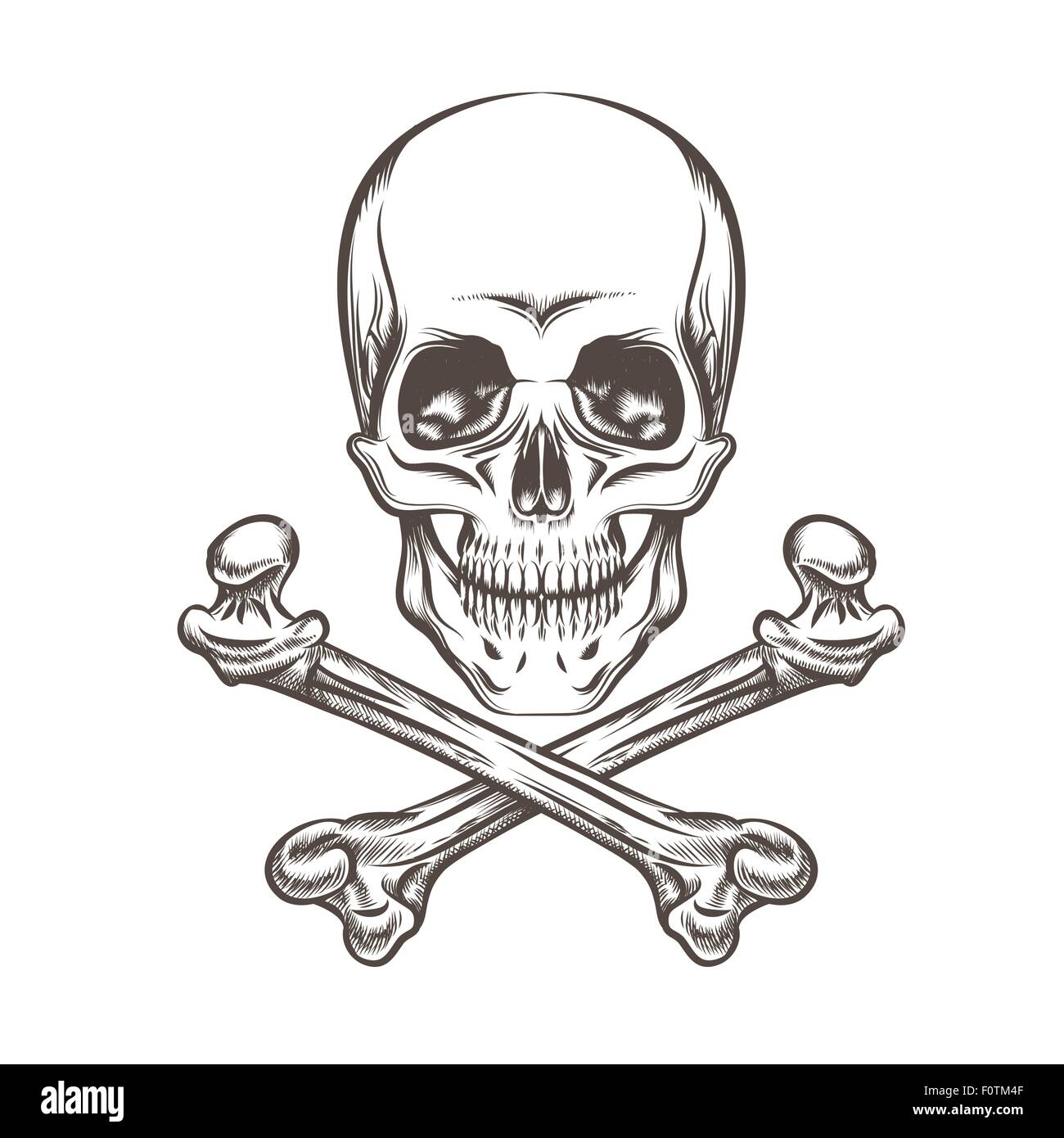 Engraving illustration of skull and crossbones. Isolated on white background. Stock Vector