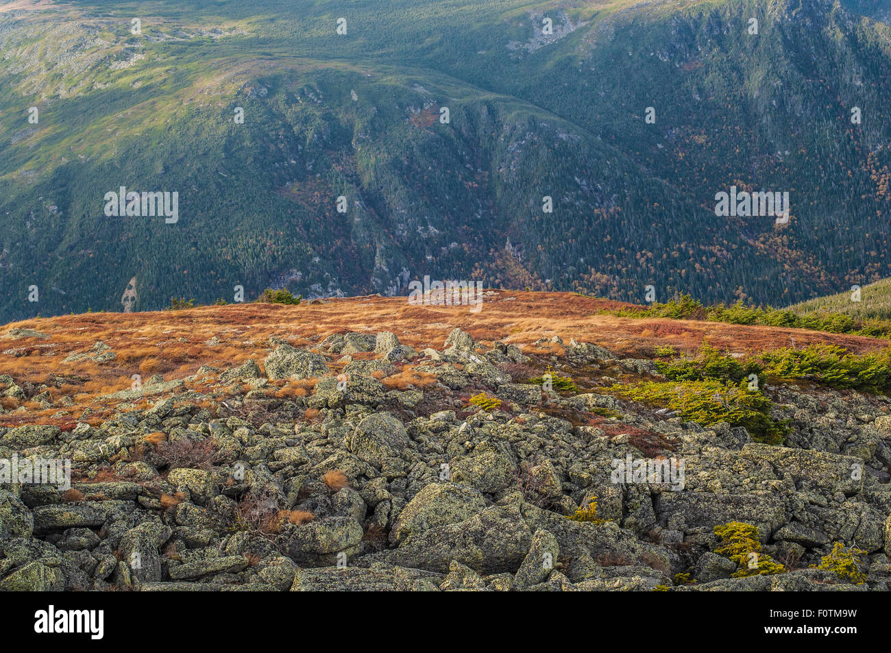 White mountain national forest hi-res stock photography and images - Alamy