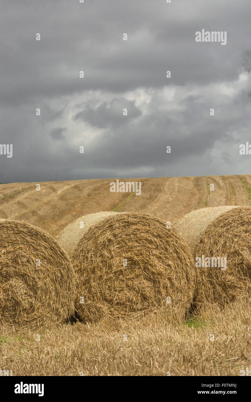 Hay / straw bales and stubble field after harvested cereal crop. Focus on facing bales. For food security / growing food, farm subsidies, storm clouds Stock Photo