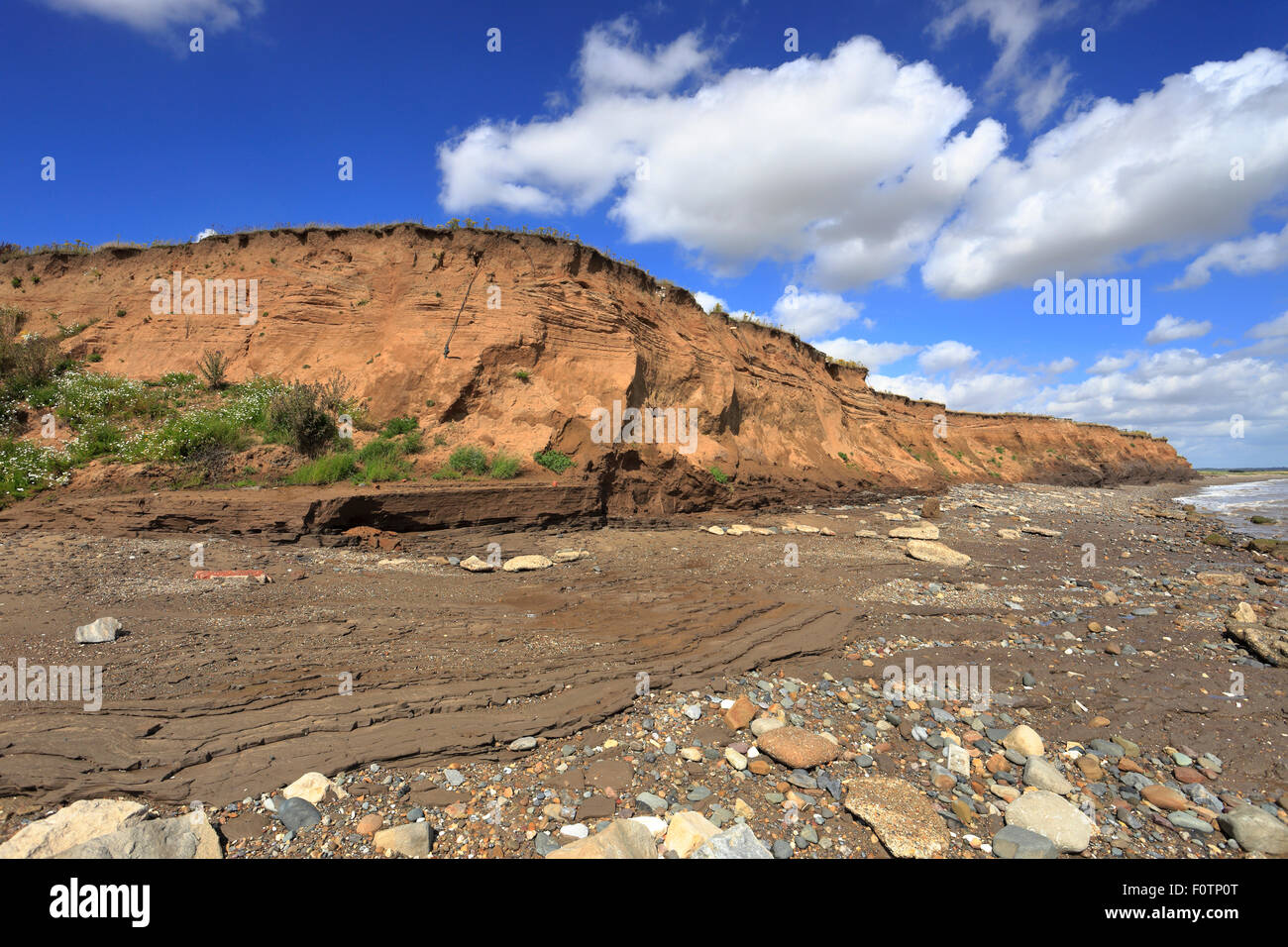 Barmston cliffs on the Holderness Coast, East Yorkshire, England, UK. The fastest eroding coastline in Europe. Stock Photo