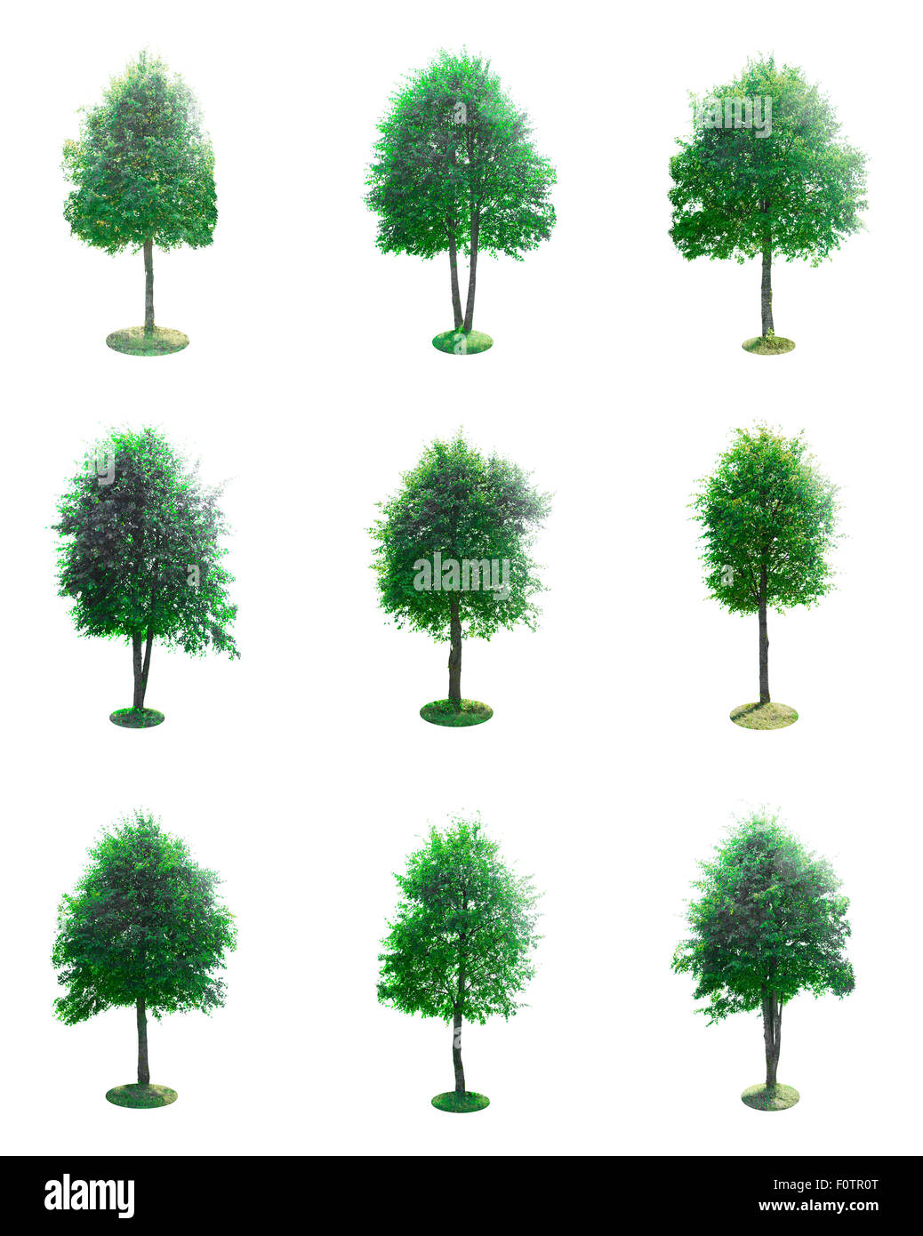Set of Green Tree Isolated on White Background Stock Photo - Alamy