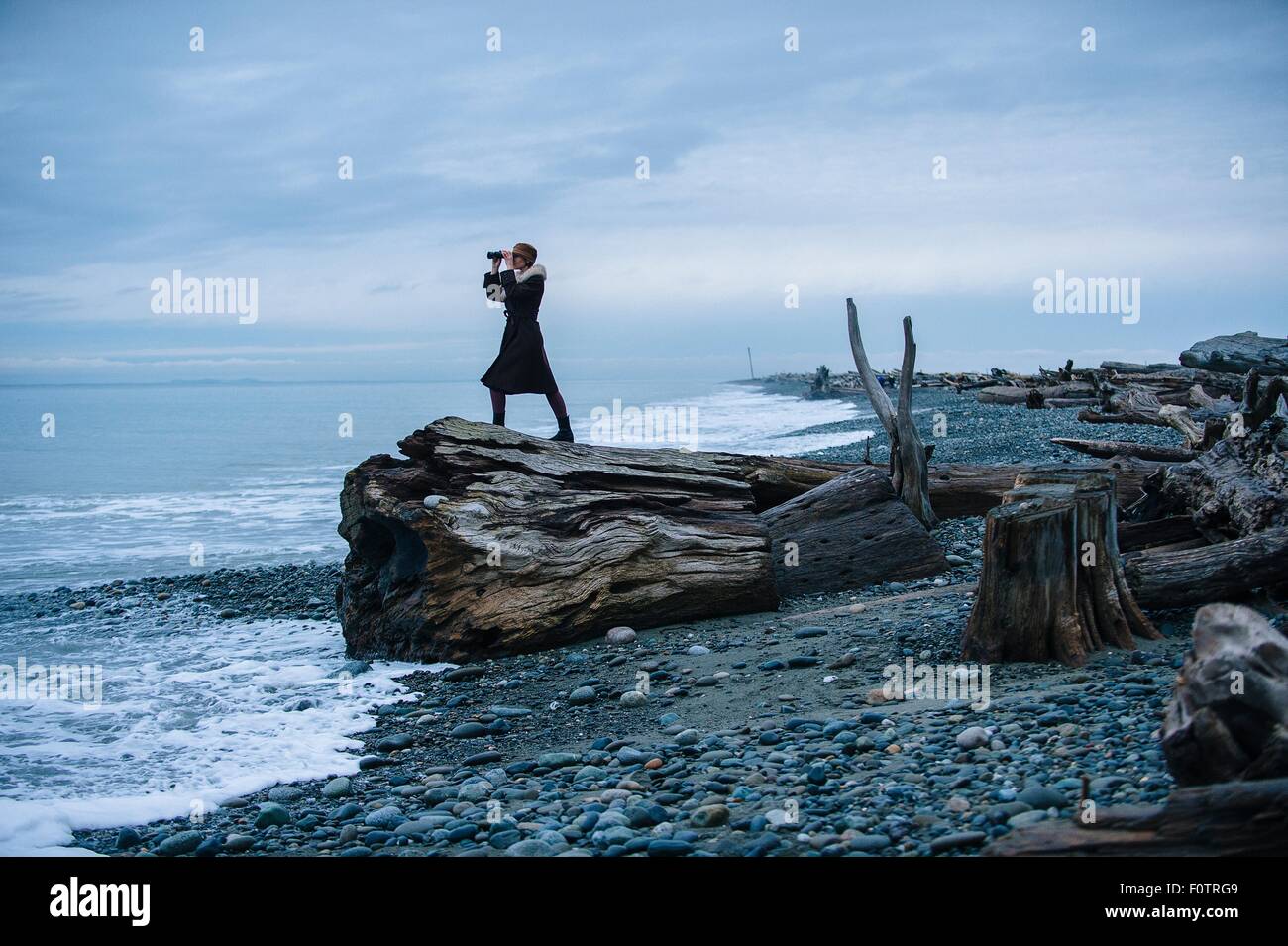 Woman looking through binoculars from large driftwood tree stump on beach Stock Photo