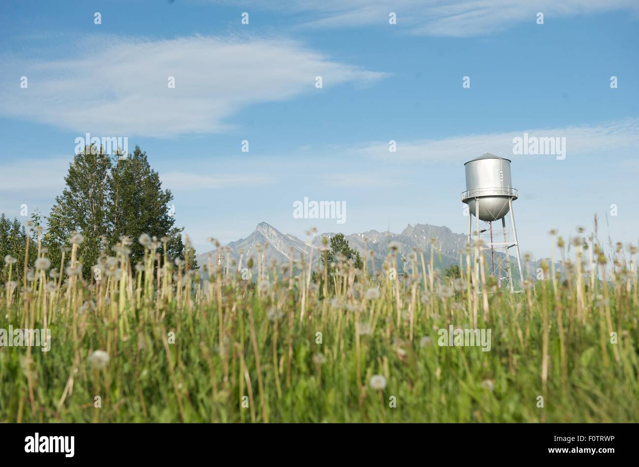 Glenn Highway, Palmer, Alaska, USA Stock Photo Alamy