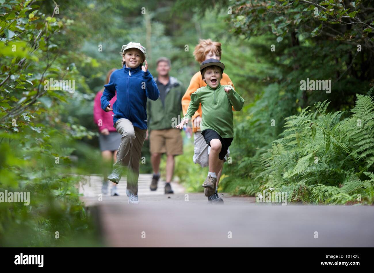Family exploring woods, Winner Creek, Alyeska Resort, Turnagain Arm, Mt. Alyeska, Girdwood, Alaska, USA Stock Photo