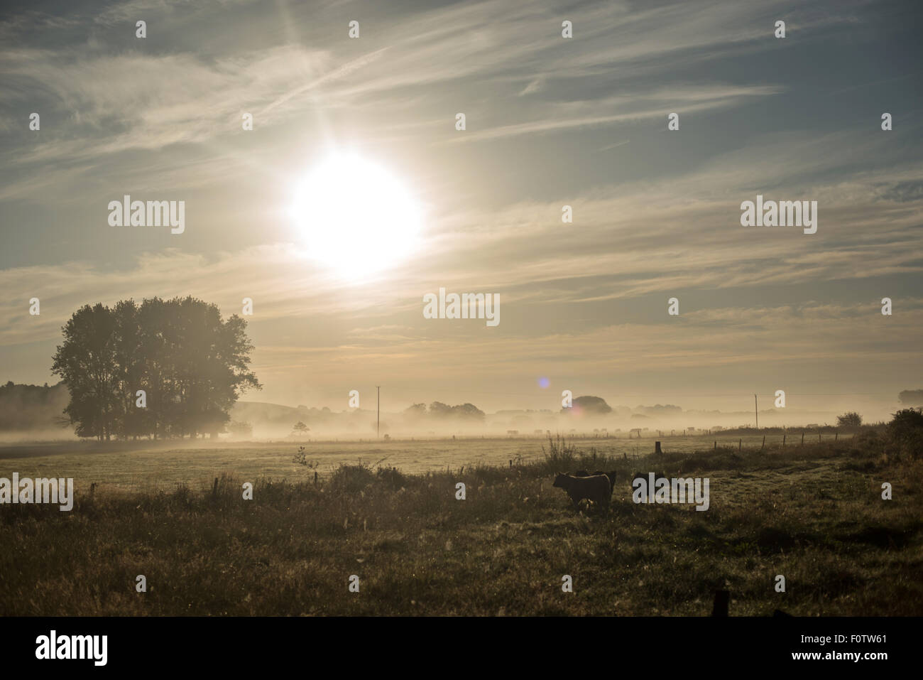 Sunrise over a field hi-res stock photography and images - Alamy