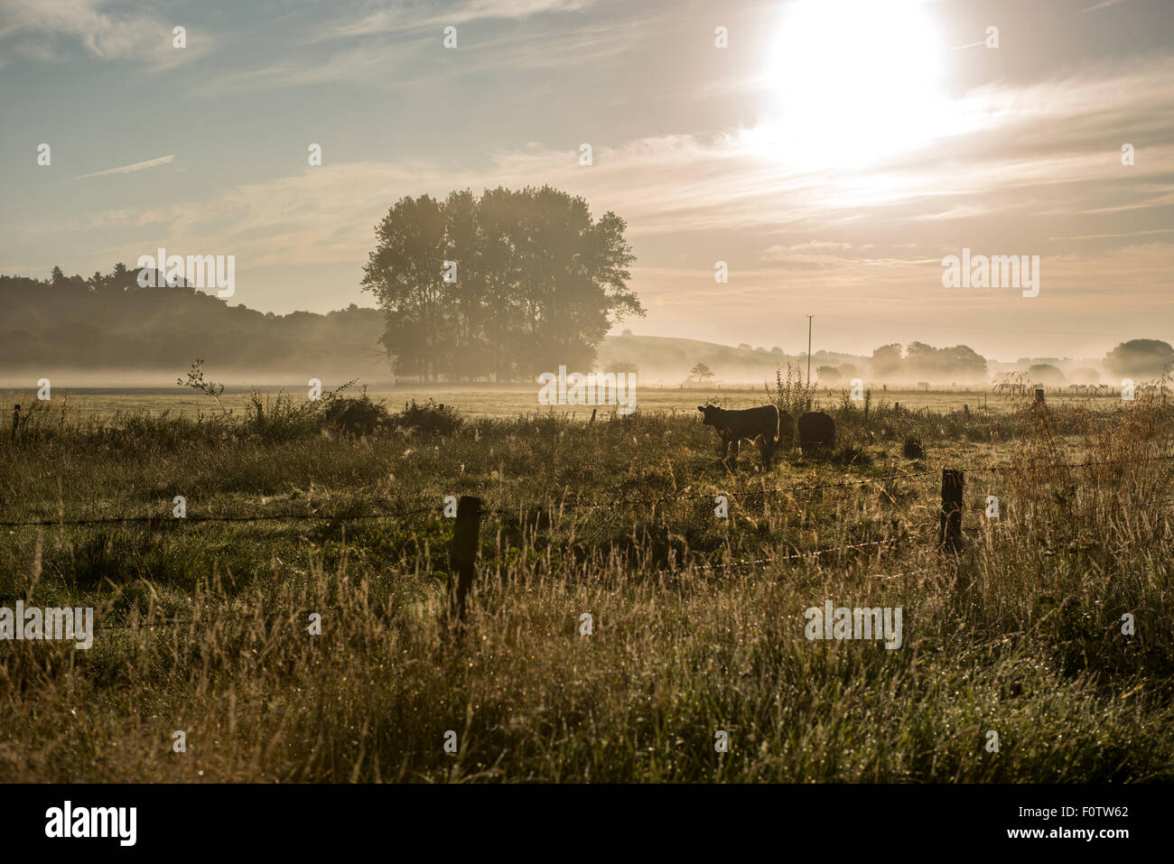 Sunrise over a field hi-res stock photography and images - Alamy