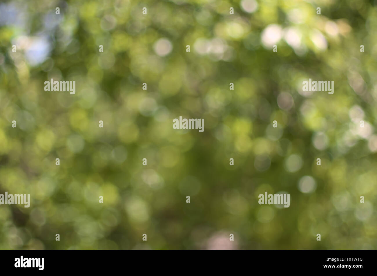 Green bokeh background hi-res stock photography and images - Alamy