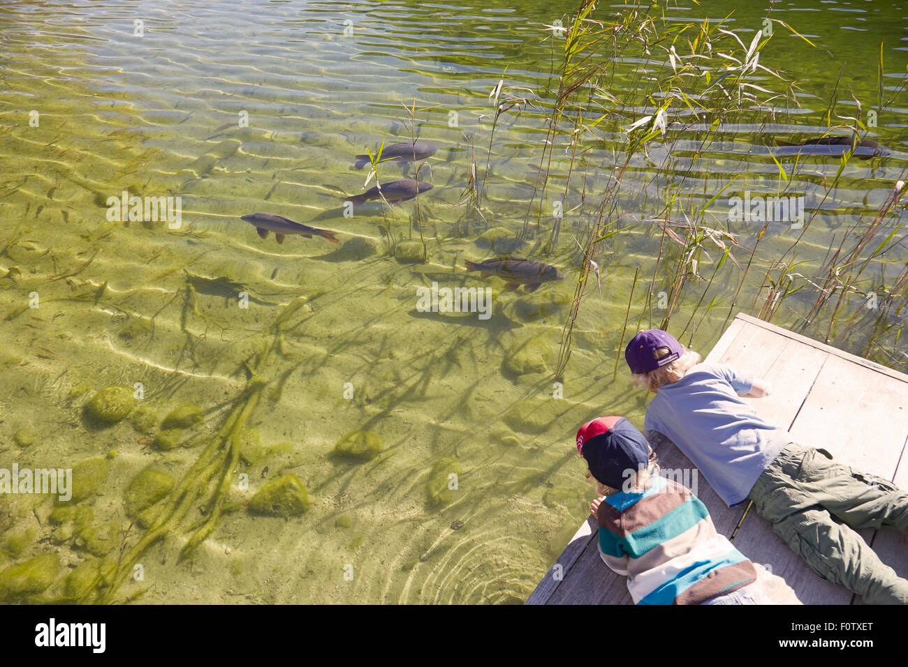 Two boys lying on jetty, looking in water, elevated vew Stock Photo - Alamy